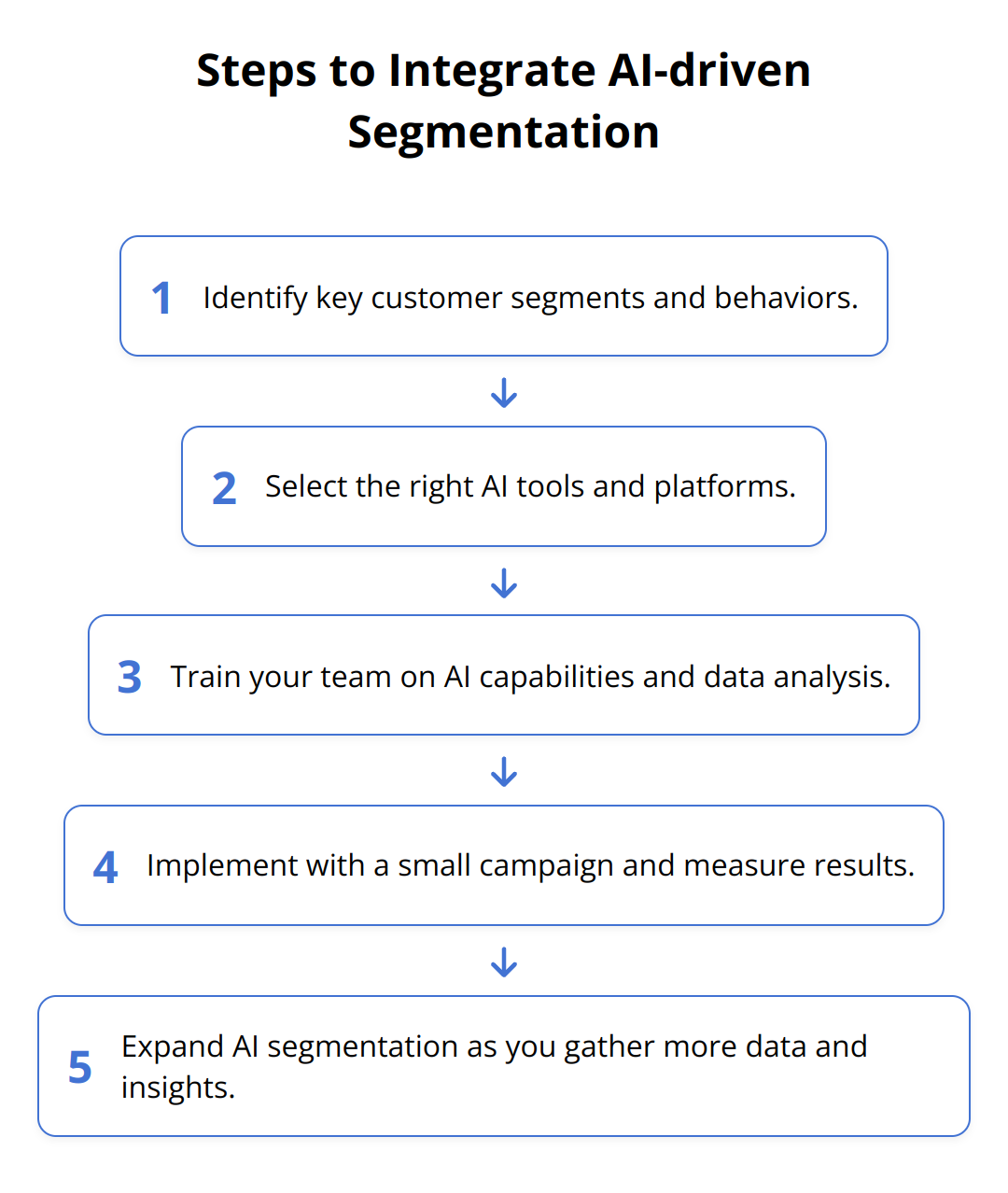Flow Chart - Steps to Integrate AI-driven Segmentation