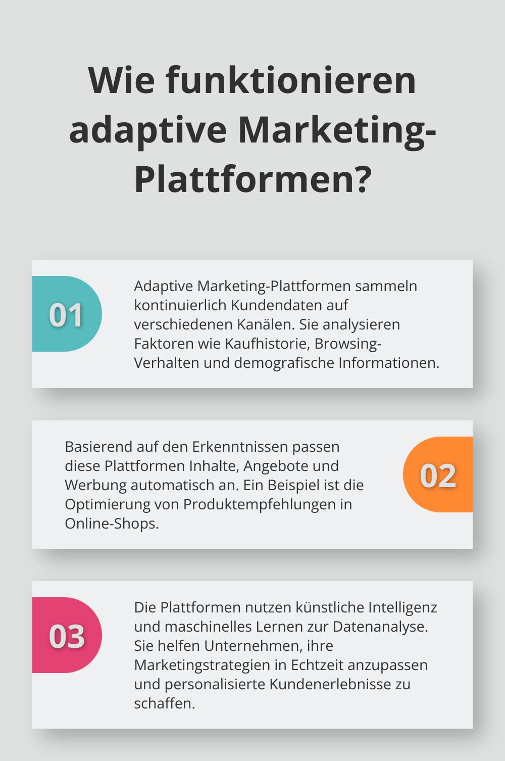 Fact - Wie funktionieren adaptive Marketing-Plattformen?