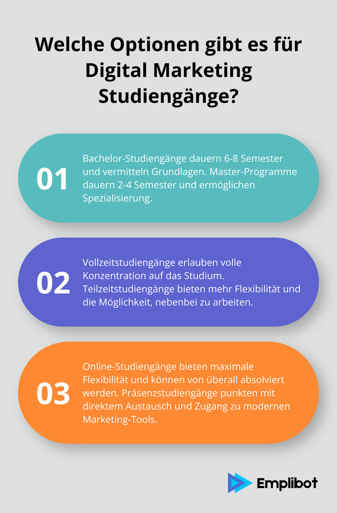 Infographic: Welche Optionen gibt es für Digital Marketing Studiengänge?