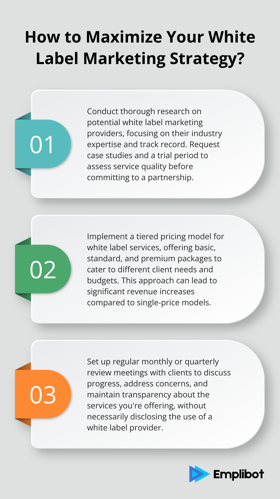 Infographic: How to Maximize Your White Label Marketing Strategy?